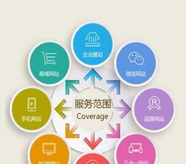 專業(yè)軟件開發(fā)與網(wǎng)絡(luò)推廣服務(wù)，價格透明，750元起